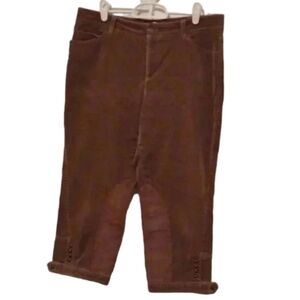 Gianni Bini velvet Bermudas shorts Women's Size 10